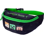 Astra Ledvinka Minecraft Alex a Steve