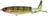 River2Sea USA Whopper Plopper 13 cm 39 g, Perch