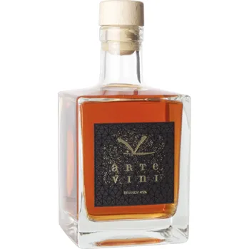 Pálenka ARTE VINI Brandy 45% 0,5l