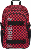 BAAGL Skate Teribear 25 l