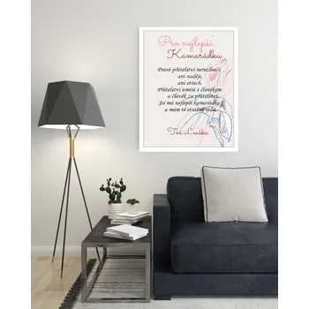 Plakát Plakát s věnováním PRO NEJLEPŠÍ KAMARÁDKU Rozměr plakátu: A4 (21 x 29,7 cm), Rámeček: Bez rámečku