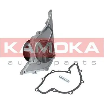 Motor automobilu Vodní čerpadlo, chlazení motoru KAMOKA T0047