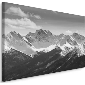 Plátno Černá A Bílá Horská Krajina Varianta: 40x30