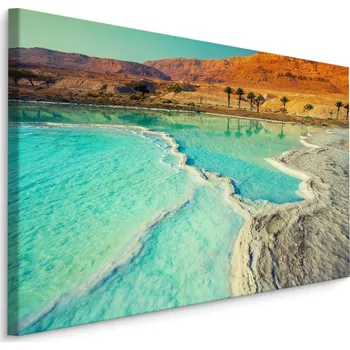 Obraz Plátno Mrtvé Moře Se Skalnatýn Pobřežím Varianta: 30x20