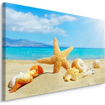 Obraz Plátno Mořská Pláž A Mušle Varianta: 30x20