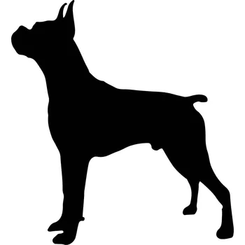 Vsepropejska Boxer dřevěná dekorace na zeď Rozměr (cm): 35 x 31, Typ: Boxer 3