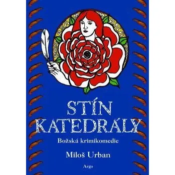 Kniha Stín katedrály Ekniha