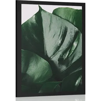 Plakát Dovido Plakát dopis monstery