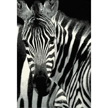 Koberec Recenze Balta Designer Zebra 33302/190 120 x 170 cm