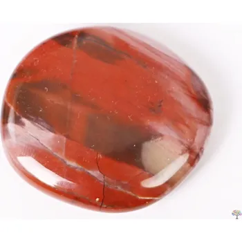 Drahý kámen Magieprirody.cz Hmatka Zkamenělé dřevo 45 - 50 mm placička #123