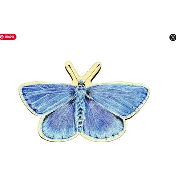 Pastelka Lesní svět Magnet tvar modrásek