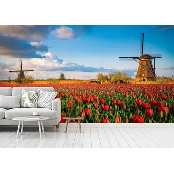 Fototapeta Malvis ® Tapeta Větrné mlýny s tulipány Vel. (šířka x výška): 144 x 105 cm