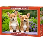 Castorland Puzzle Štěňata Welsh Corgi…