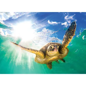 Malvis ® Tapeta Kareta Vel. (šířka x výška): 288 x 200 cm