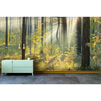 Malvis ® Tapeta Les Vel. (šířka x výška): 504 x 310 cm