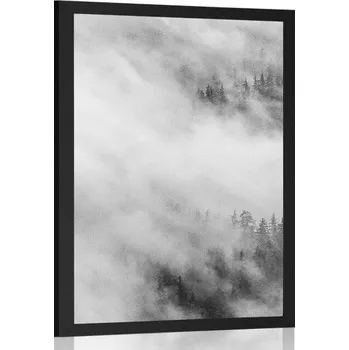Plakát Dovido Plakát černobílý mlhavý les