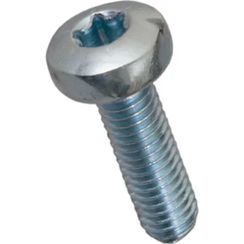 Spojovací materiál Šroub TORX půlkulatá hlava ISO 14583TX M5x10 ISO 14583TX 4.8 ZB