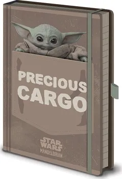 Zápisník Pyramid International Star Wars Mandalorian Precious Cargo A5