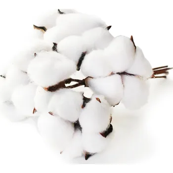 umělá květina Bavlník svazek 6ks/pr.6cm/19cm natural