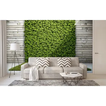 Tapeta Malvis ® Tapeta Trávník v prostoru Vel. (šířka x výška): 432 x 290 cm