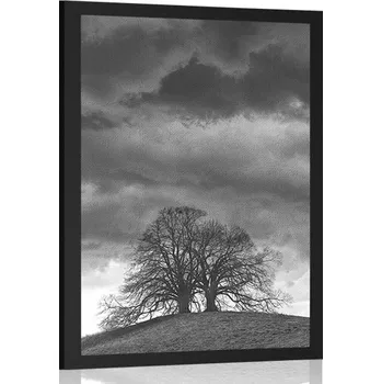 Plakát Dovido Plakát černobílé osamělé stromy