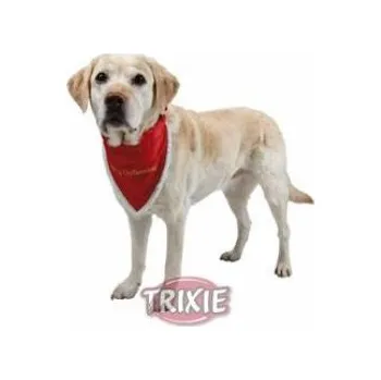 Obleček pro psa Vánoční šátek pro psa Velikost: L 45 - 55cm/20mm