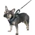 Postroj pro psa Kerbl Harness šedý 65-85 cm/25 mm