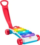 Fisher Price Obří xylofon