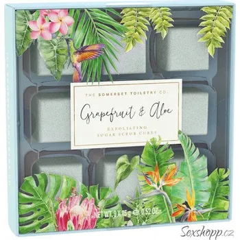 Tělový peeling Cukrové peelingové kostky na tělo Somerset Toiletry – grapefruit a Aloe Vera, 9 ks