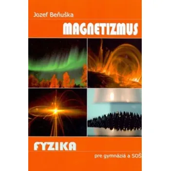Fyzika pre gymnázia a SOŠ - Magnetizmus - Jozef Beňuška