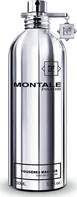 Montale Paris Fougere Marine Parfémovaná voda 100 ml