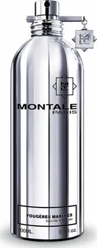 Unisex parfém Montale Paris Fougere Marine Parfémovaná voda 100 ml