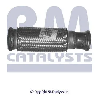 Výfuková trubka Výfuková trubka BM CATALYSTS BM50203