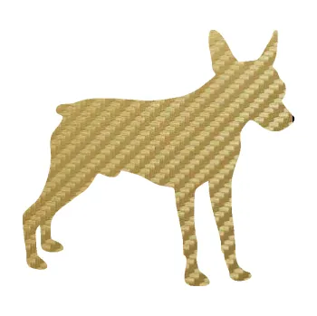 Polep vozidla SAMOLEPKA Pes 178 pravá pražský krysařík (59 - 3D karbon zlatý) NA AUTO, NÁLEPKA, FÓLIE, POLEP, TUNING, VLASTNÍ TEXT, TISK, AUTOSAMOLEPKY.cz, POLEPY, OBRÁZEK, LOGO, SAMOLEPKY