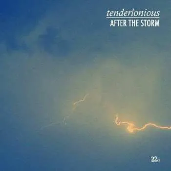 Zahraniční hudba LP Tenderlonious: After The Storm 2020