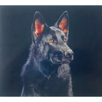 Zahraniční hudba CD Die Nerven: Die Nerven 2022