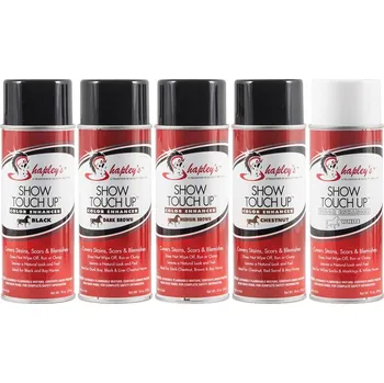 Stylingový přípravek Shapley's SHAPLEY´S Touch Up Spray White 10oz.(284g)