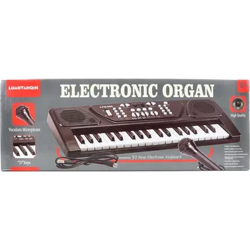 Hudební nástroj pro děti Luantanqin Piano s mikrofonem černé