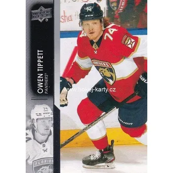 Sběratelská karetní hra řadová karta OWEN TIPPETT 21-22 UD Ser. 2 číslo 330