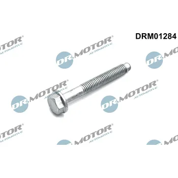 Systém vstřikování Dr.Motor DRM01284 Šroub, vstřikovač