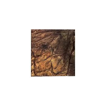 Dekorace do akvária ATG akvarijní pozadí SHRIMP PUPE 25x30cm (x)