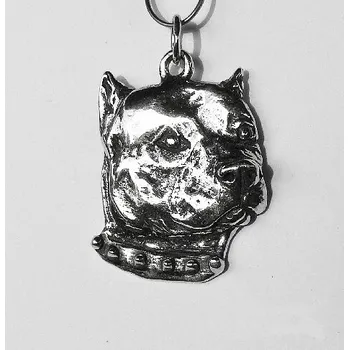 Přívěsek Stříbrný přívěsek pitbulterier s obojkem - DN9 (Stříbrný přívěsek pes Pitbulterier obojjek)