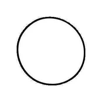 Akvaristika Těsnění na UV lampu AQUA NOVA (1ks) Varianta: 54 x 3 mm