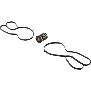 Těsnění motoru Termostat, chladivo Continental 28.0200-4005.2