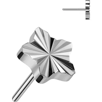 Piercing Šperky4U Hvězdička k PUSH IN piercingu TITAN - TIT1245-TI