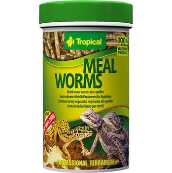 Krmivo pro terarijní zvíře TROPICAL Sušení mouční červi 100ml/13g