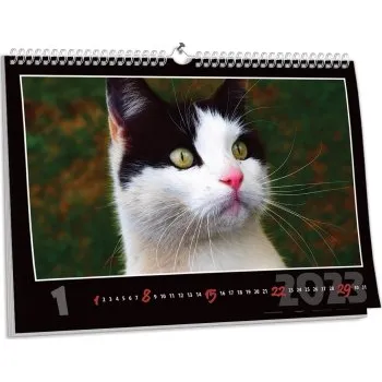 Fotokalendář Nástěnný kalendář NKN-24 (A1)