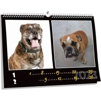 Fotokalendář Nástěnný kalendář NKN-32 (A4)