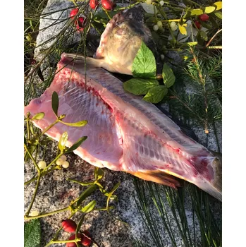 Návnadová surovina Čerstvý kapr - půlka, min. 1 kg