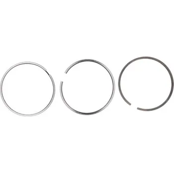 Píst motoru Sada pístních kroužků DAF 1784291